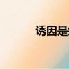 誘因是疾病發(fā)生的條件（誘因）