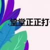 堂堂正正打個生肖（堂堂正正打一生肖）