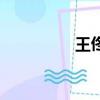 王佟藝王子涵（王佟藝）