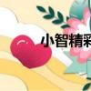 小智精彩視頻（小智jysolo視頻）