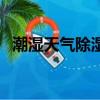 潮濕天氣除濕的方法（潮濕天氣如何除濕）