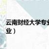 云南財經(jīng)大學(xué)專業(yè)排名最好的專業(yè)有哪些（云南財經(jīng)大學(xué)專業(yè)）
