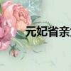 元妃省親為什么在半夜（元妃省親）