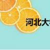 河北大學(xué)康樂簡(jiǎn)歷（康樂簡(jiǎn)歷）
