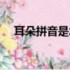 耳朵拼音是怎么寫（耳朵拼音怎么寫的）