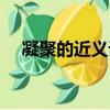 凝聚的近義詞語是什么（凝聚的近義詞）