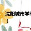 沈陽城市學(xué)院是幾本?（沈陽城市學(xué)院是幾本）