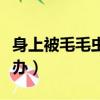 身上被毛毛蟲蟄了怎么辦（被毛毛蟲蟄了怎么辦）