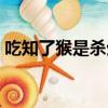 吃知了猴是殺生嗎（知了猴吃了真的流產(chǎn)嗎）