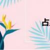 占里村圖片（占里村）