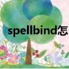 spellbind怎么讀英語(yǔ)（spellbind怎么讀）