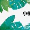 小桃紅玉葫蘆（小桃紅）