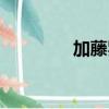 加藤羅莎豆瓣（加藤羅莎）