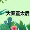 大秦宣太后皮膚臺(tái)詞（大秦宣太后皮膚）