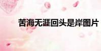 苦海無(wú)涯回頭是岸圖片(苦海無(wú)涯)