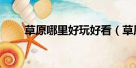 草原哪里好玩好看(草原哪里好玩)