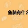 魚(yú)腦有什么營(yíng)養(yǎng)（魚(yú)腦的功效與作用）