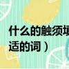 什么的觸須填合適的形容詞（什么的觸須填合適的詞）