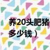養(yǎng)20頭肥豬一年賺多少錢（養(yǎng)20頭豬一年賺多少錢）
