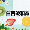 白百破和脊灰為什么要一起打（白百破）