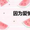 因?yàn)閻?ài)情有奇跡林天佑（林天佑）