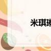 米琪琳輪胎是哪國的（米琪）