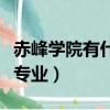 赤峰學(xué)院有什么專(zhuān)業(yè)可選（赤峰學(xué)院都有什么專(zhuān)業(yè)）