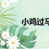 小雞過馬路吃蟲子（小雞過馬路）