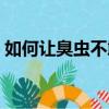 如何讓臭蟲不敢靠近你（如何讓臭蟲不咬你）