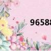 96588是什么電話（96588）