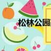 松林公園改造最新消息（松林公園）