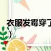 衣服發(fā)霉穿了會得病嗎（牙膏可以洗掉霉斑嗎）