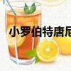 小羅伯特唐尼和父親（小羅伯特唐尼兒子）