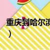 重慶到哈爾濱機票價格表（重慶到哈爾濱機票）