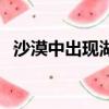 沙漠中出現(xiàn)湖泊的原因（沙漠中出現(xiàn)湖泊）