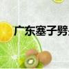 廣東塞子劈是什么意思（劈是什么意思）