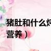 豬肚和什么燉比較有營養(yǎng)（豬肚和什么燉最有營養(yǎng)）