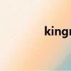kingnet交換機(jī)（kingnet）