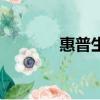 惠普生產(chǎn)廠家全稱（惠普生）
