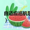自適應(yīng)巡航是雞肋嗎（自適應(yīng)巡航有什么弊端）
