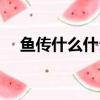 魚傳什么什么四字成語（魚傳什么什么）
