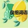 良組詞語(yǔ)和拼音怎么寫(xiě)（良組詞語(yǔ)）