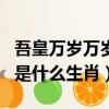 吾皇萬歲萬歲萬萬歲下一句（吾皇萬歲萬萬歲是什么生肖）