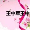 王中軍王中磊有多少錢（王中軍王中磊）
