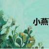 小燕飛標(biāo)準(zhǔn)動作（小燕飛）