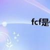 fcf是什么貨幣（fcf是什么）
