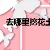 去哪里挖花土最好（養(yǎng)花的土哪里挖最好）