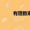 有理數(shù)乘方的定義（有理數(shù)乘方）