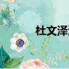 杜文澤演過什么（杜文澤電影）