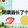 陰囊唇長了個小硬疙瘩是怎么回事（tinch）